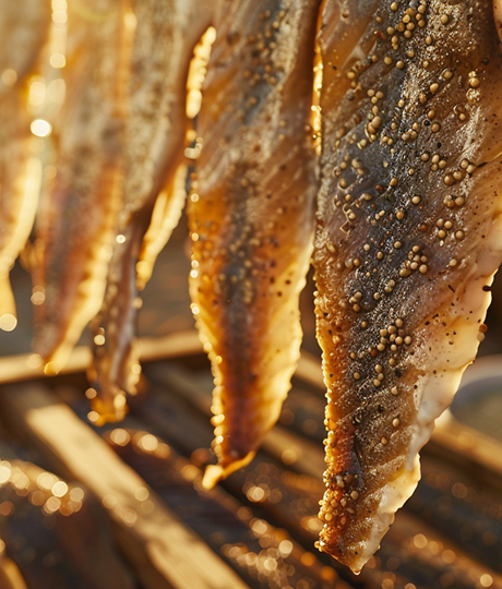 Fish fillets drying